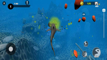 Fish Grow and Evolution 4